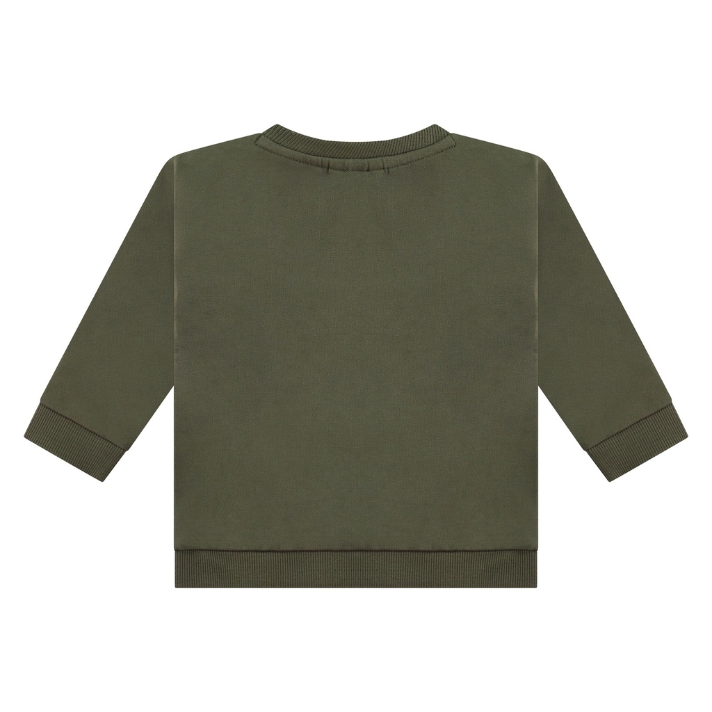 BBE24527421_dark forrest_2.jpg