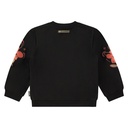 SSA24508474_nearly black_2.jpg