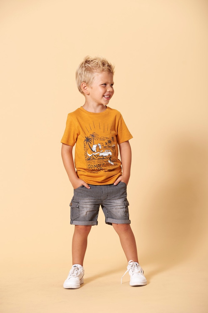 Sfeer S21S2 71700315 72100096.jpg