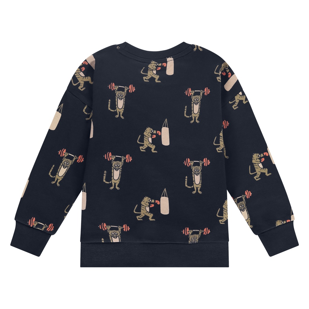 Stains & Stories - boys sweatshirt - night - SSA25407451-SSA-00048