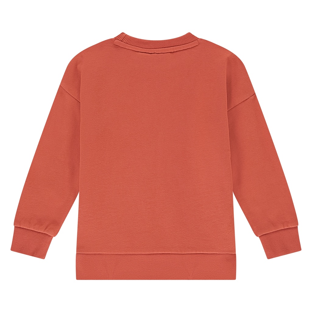 Stains & Stories - boys sweatshirt - pomegranate - SSA25407455-SSA-00076