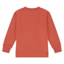 Stains & Stories - boys sweatshirt - pomegranate - SSA25407455-SSA-00076