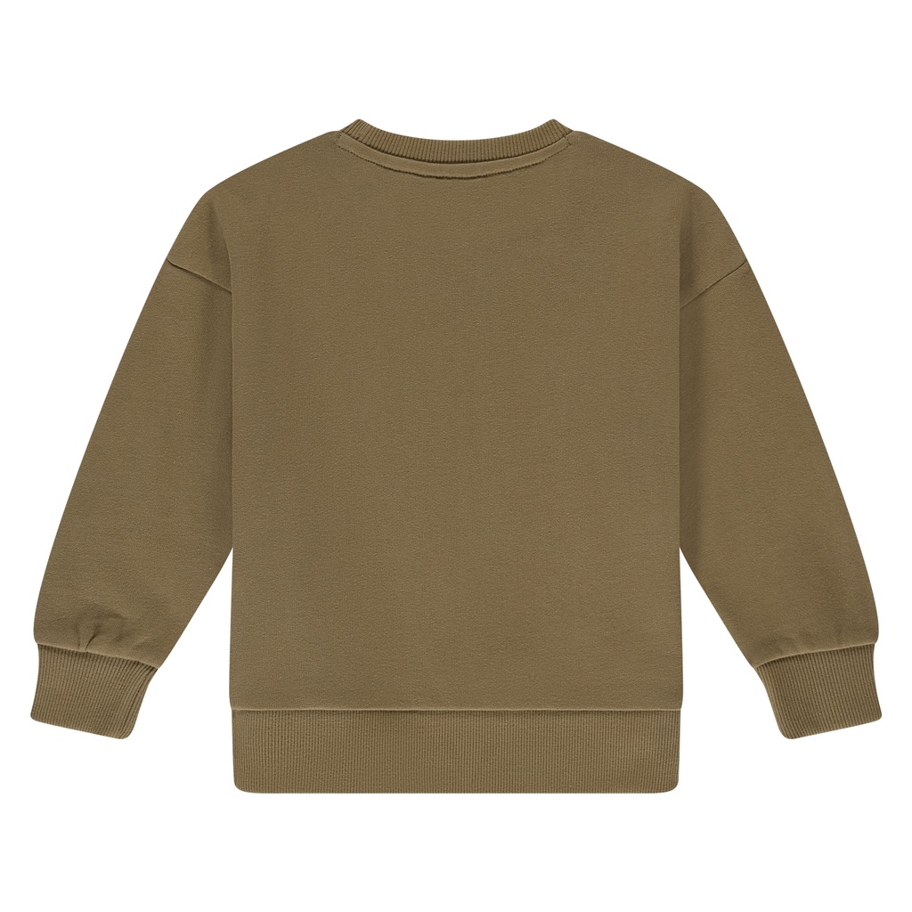 Stains & Stories - boys sweatshirt - camel - SSA25507471-SSA-00051