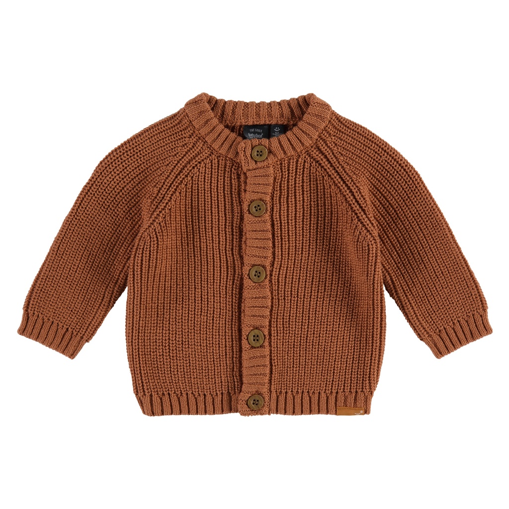 Babyface - baby boys cardigan - canyon - NWB22527321