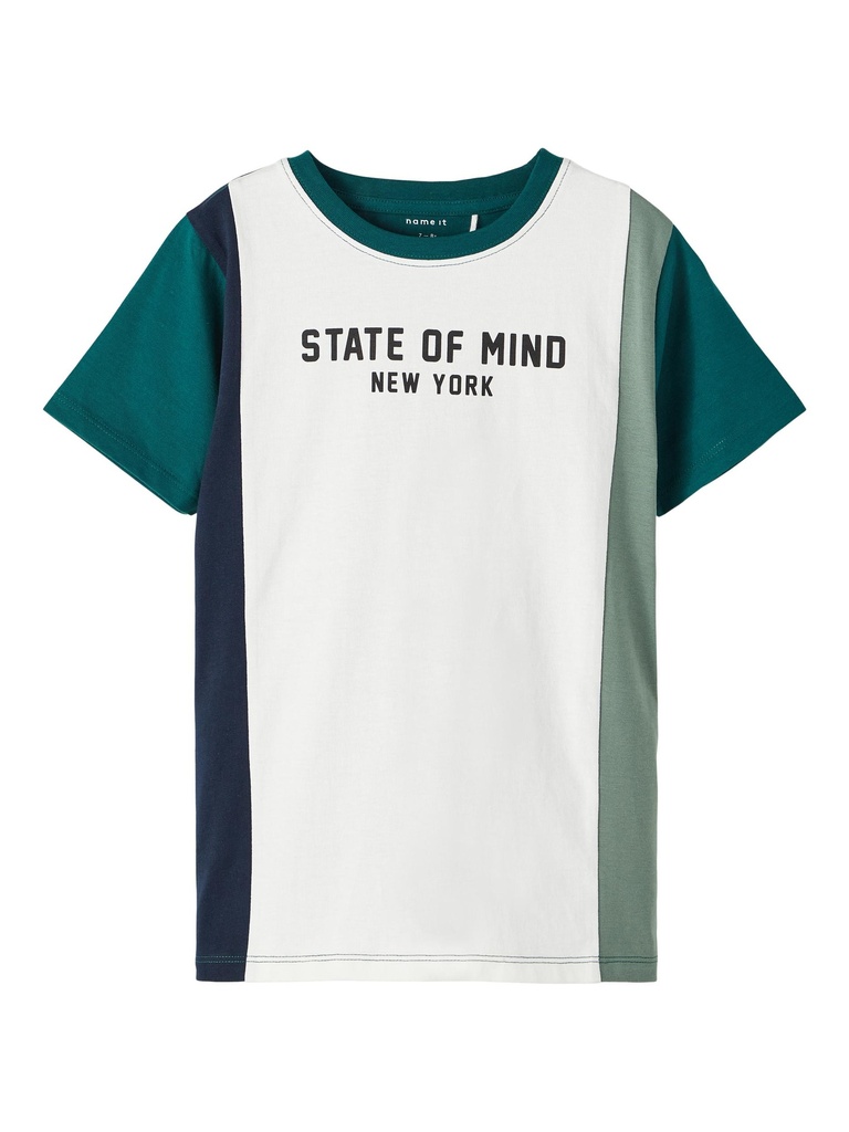 NAME IT KIDS - NKMTASSO SS TOP BOX - Forest Biome