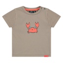 Babyface - baby boys t-shirt short sleeve - taupe - NWB23227639