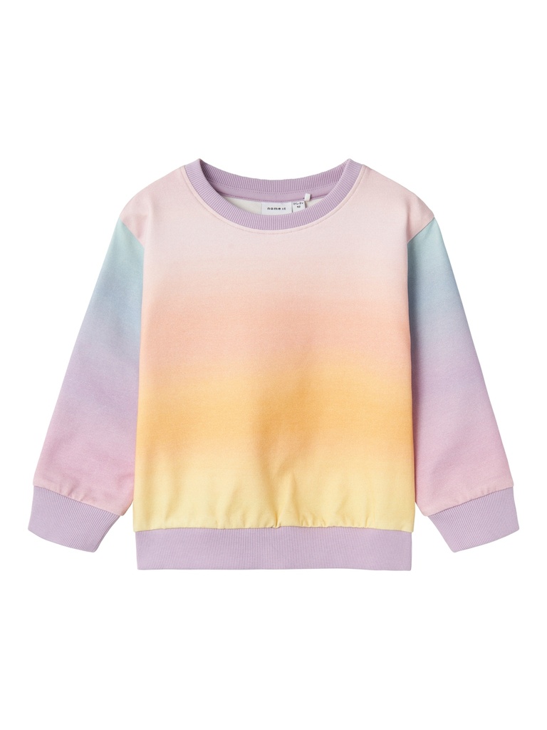 NAME IT MINI - NMF DIRAINBOW LS NREG SWE UNB - Festival Bloom