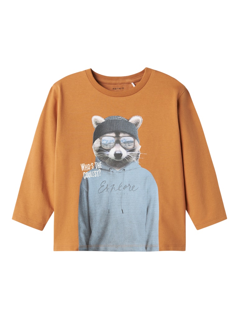 NAME IT MINI - NMM OBINNA NREG LS TOP BOX - Almond