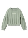 NAME IT KIDS - NKF OTYLLE LS SHORT NREG SWEAT BRU - Lily Pad