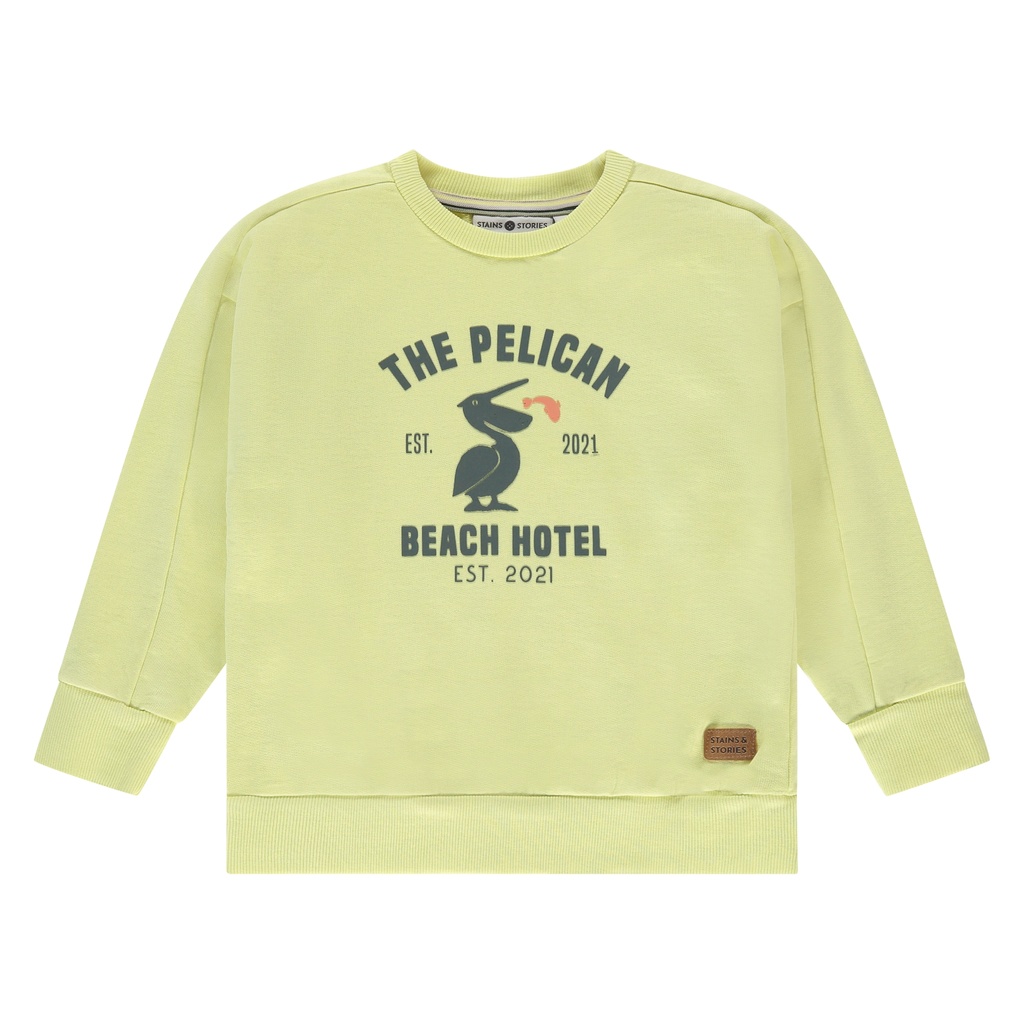 Stains & Stories - boys sweatshirt - sun - SSA25207427-SSA-00062