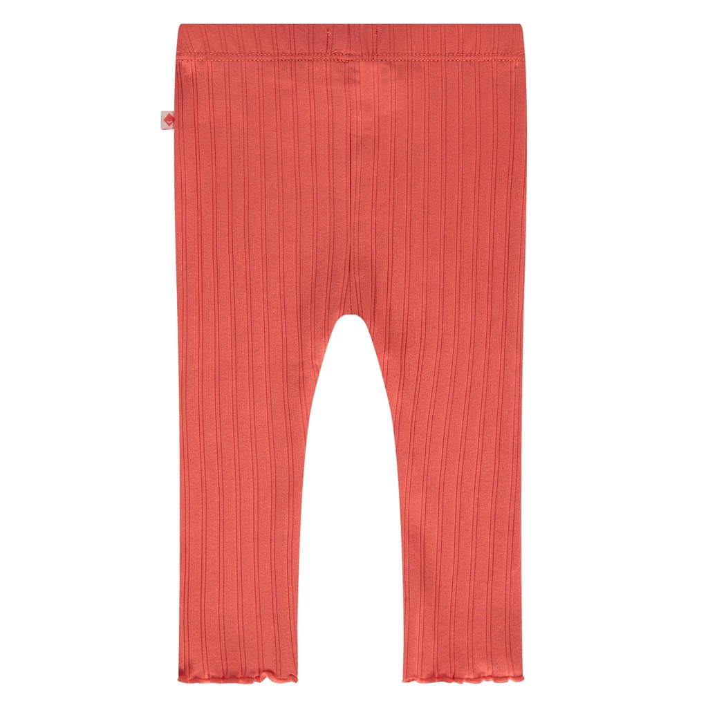 Babyface - baby girls rib legging - grapefruit - BBE25128210-BBE-00217