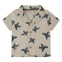 Babyface - baby boys shirt short sleeve - shell - BBE25327657-BBE-00267