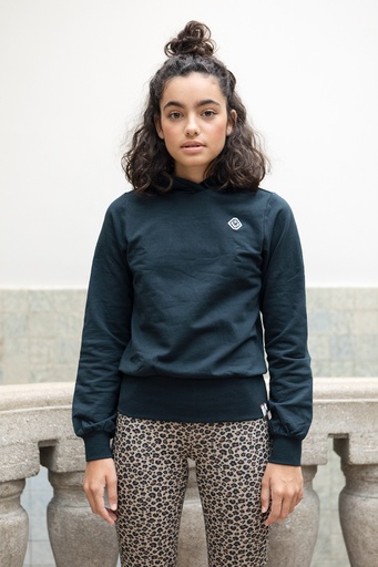 [8719645136518] Looxs - 10Sixteen G.dyed twill jog flare pan - Leopard AO - 2131-5616-924