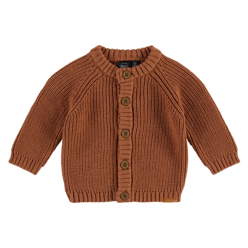 Babyface - baby boys cardigan - canyon - NWB22527321