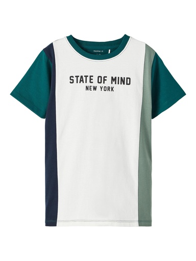 NAME IT KIDS - NKMTASSO SS TOP BOX - Forest Biome