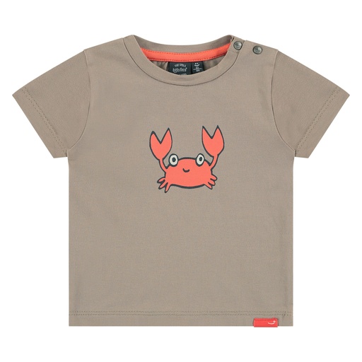 Babyface - baby boys t-shirt short sleeve - taupe - NWB23227639