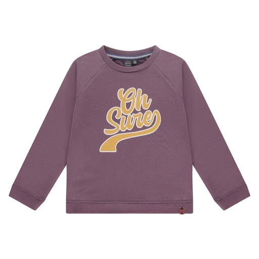 Babyface - boys sweatshirt - plum - BBE23507475