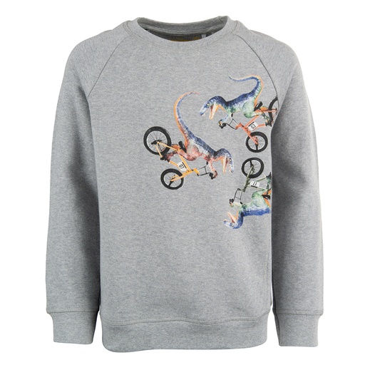 Stones and Bones - Elliott - VELOCIRAPTOR - m.grey - 29202685