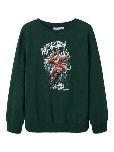 NAME IT KIDS - NKM ROMUSJUL LS NREG SWEAT BRU - Botanical Garden