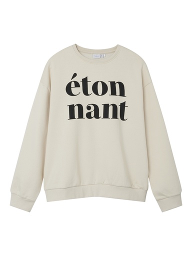 NAME IT KIDS - NKF ORIANA LS RLX SWE BRU BF - Birch