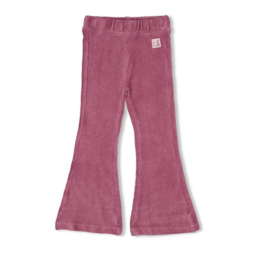 Jubel - Flared broek velours rib - Forest Fancy - Lila - 92200450