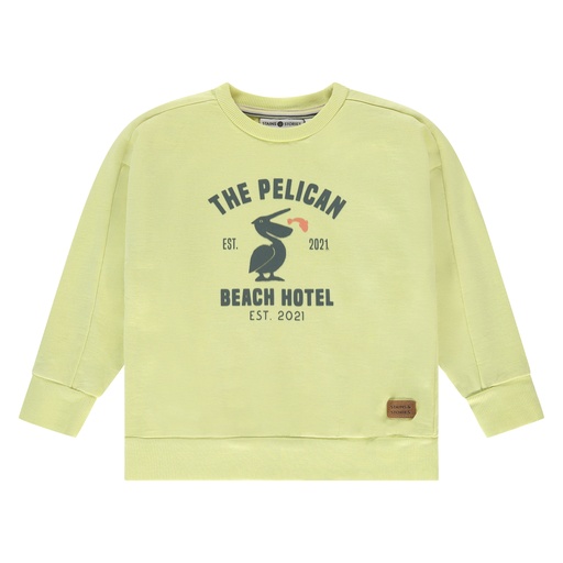 Stains & Stories - boys sweatshirt - sun - SSA25207427-SSA-00062