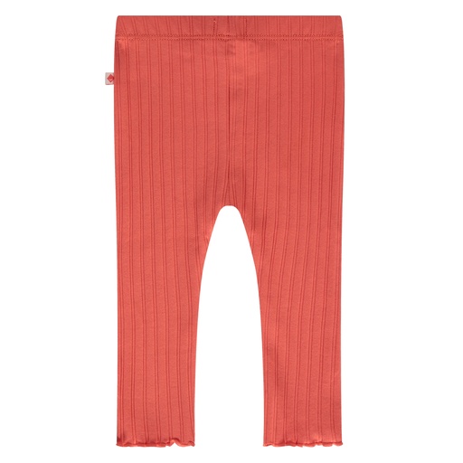 Babyface - baby girls rib legging - grapefruit - BBE25128210-BBE-00217