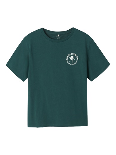 NAME IT KIDS - NKM FEMMEL SS NREG TOP BOX - Forest Biome