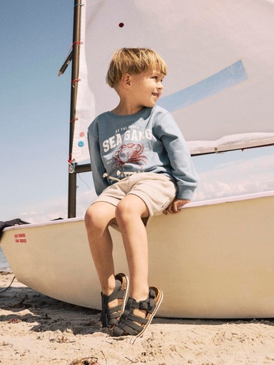 NAME IT MINI - NMM FREDE NREG TERRY SHORTS BOX - Peyote