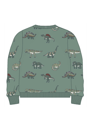 NAME IT MINI - NMM NENEAN LS SWE BRU PB - Green Bay