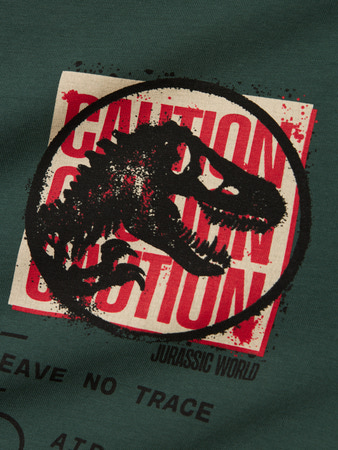 NAME IT KIDS - NKM JUST JURASSIC NREG SS TOP BOX SKY - Garden Topiary