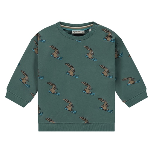 Babyface - baby boys sweatshirt - Bottle - BBE25627441-3012