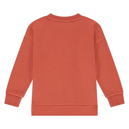Stains & Stories - boys sweatshirt - pomegranate - SSA25407455-SSA-00076