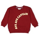 Sturdy - Sweater - Waves and Whales - Bordeaux - 71600647