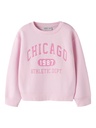NAME IT KIDS - NKF FABIA LS NREG SWEAT BRU - Pirouette