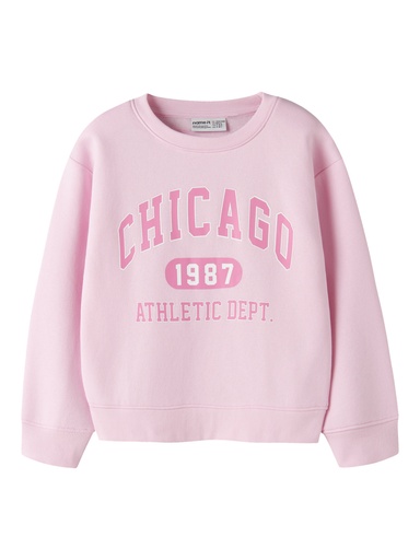 NAME IT KIDS - NKF FABIA LS NREG SWEAT BRU - Pirouette